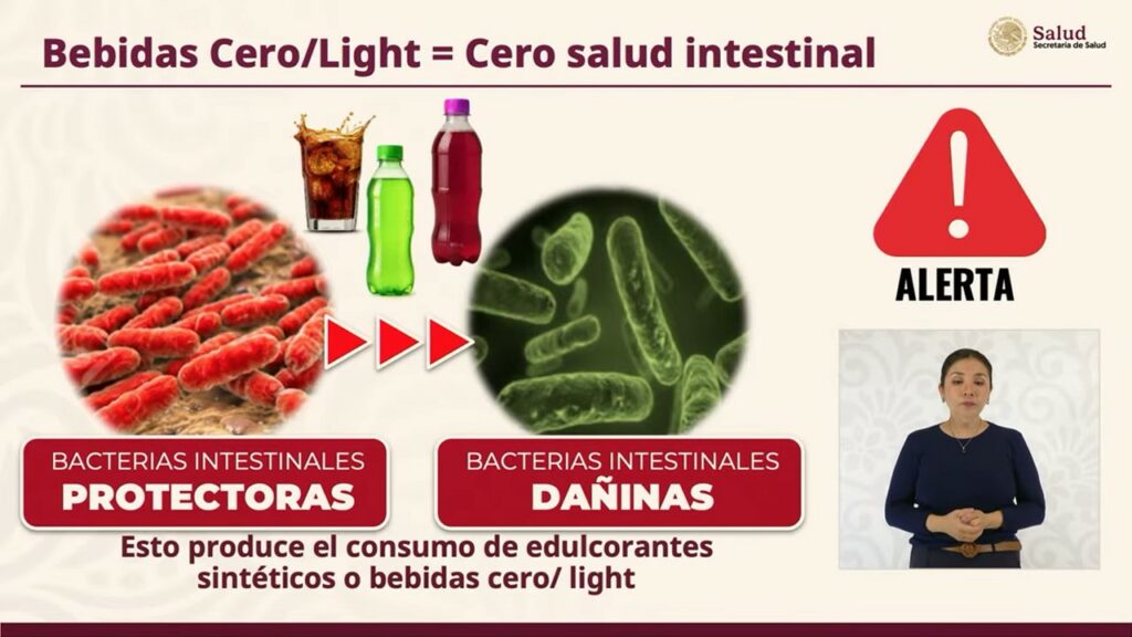 Diapositiva11